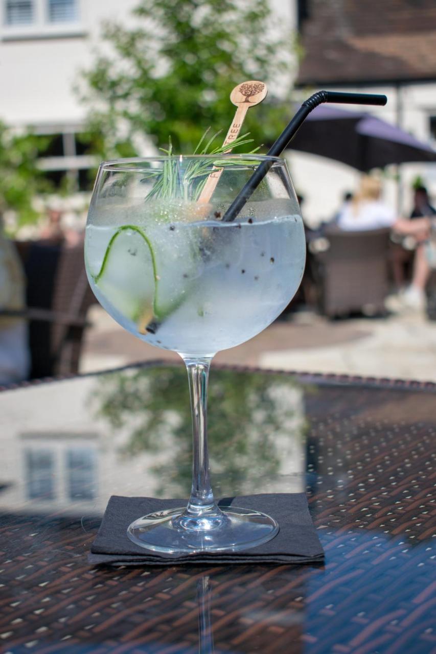 Wilton  灰狗威尔顿宾馆酒店 外观 照片